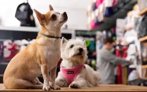 Petshop